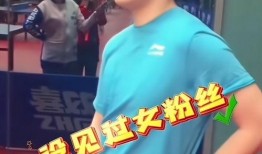 体育明星饭圈化,粉丝经济的崛起与挑战